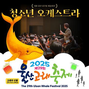 청소년 오케스트라