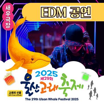 EDM 공연
