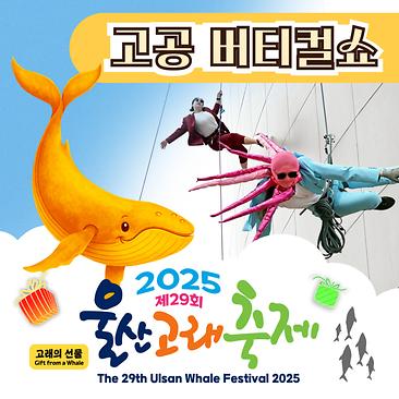 고공 버티컬쇼