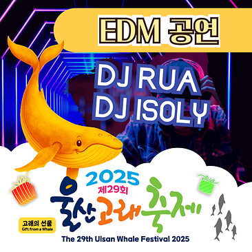 EDM 공연